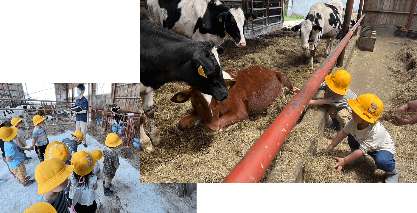 牧場見学