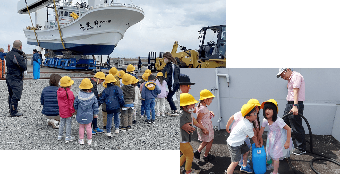 海の生き物飼育