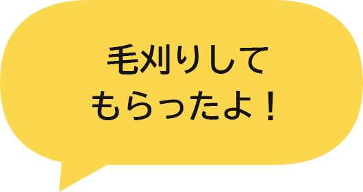 毛刈りしてもらったよ！