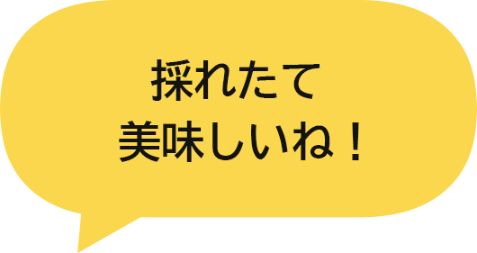 採れたて美味しいね！